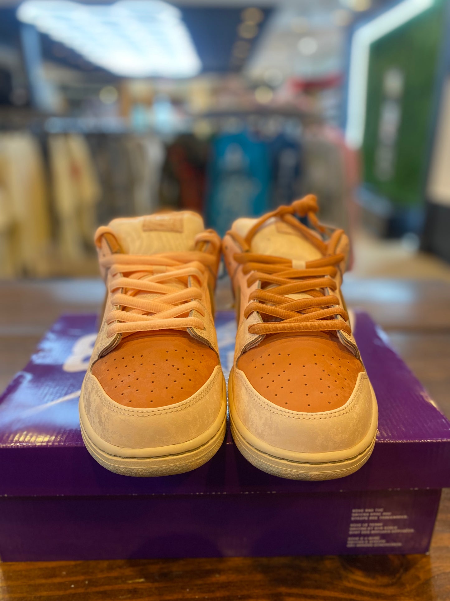 Dunk Low SB Trocadero Gardens PRE OWNED