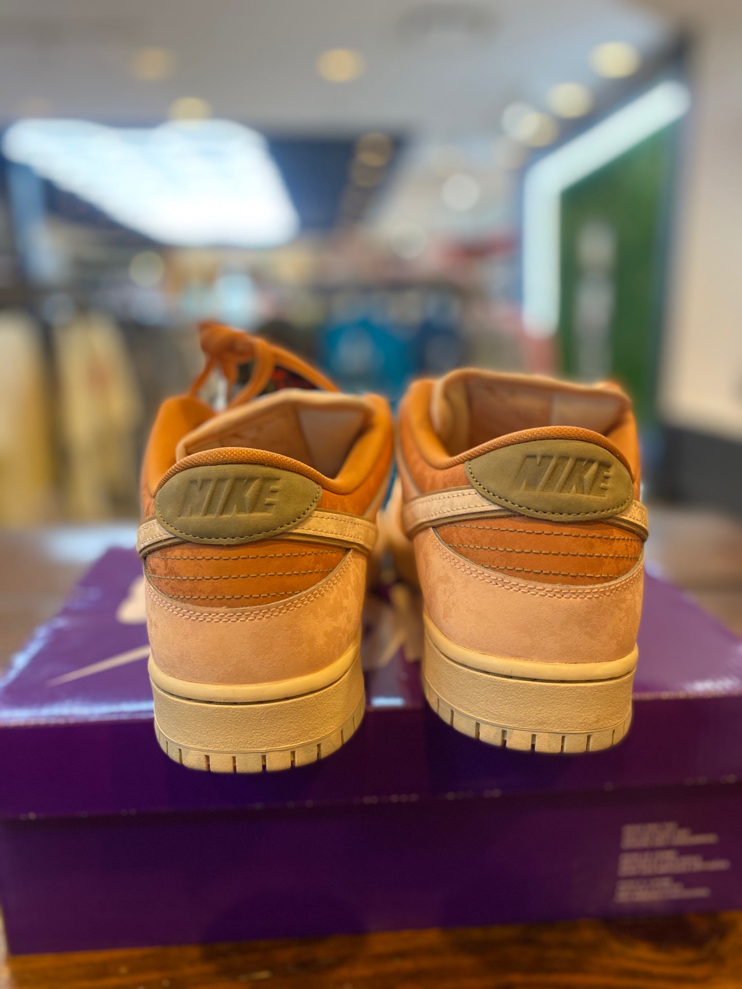 Dunk Low SB Trocadero Gardens PRE OWNED