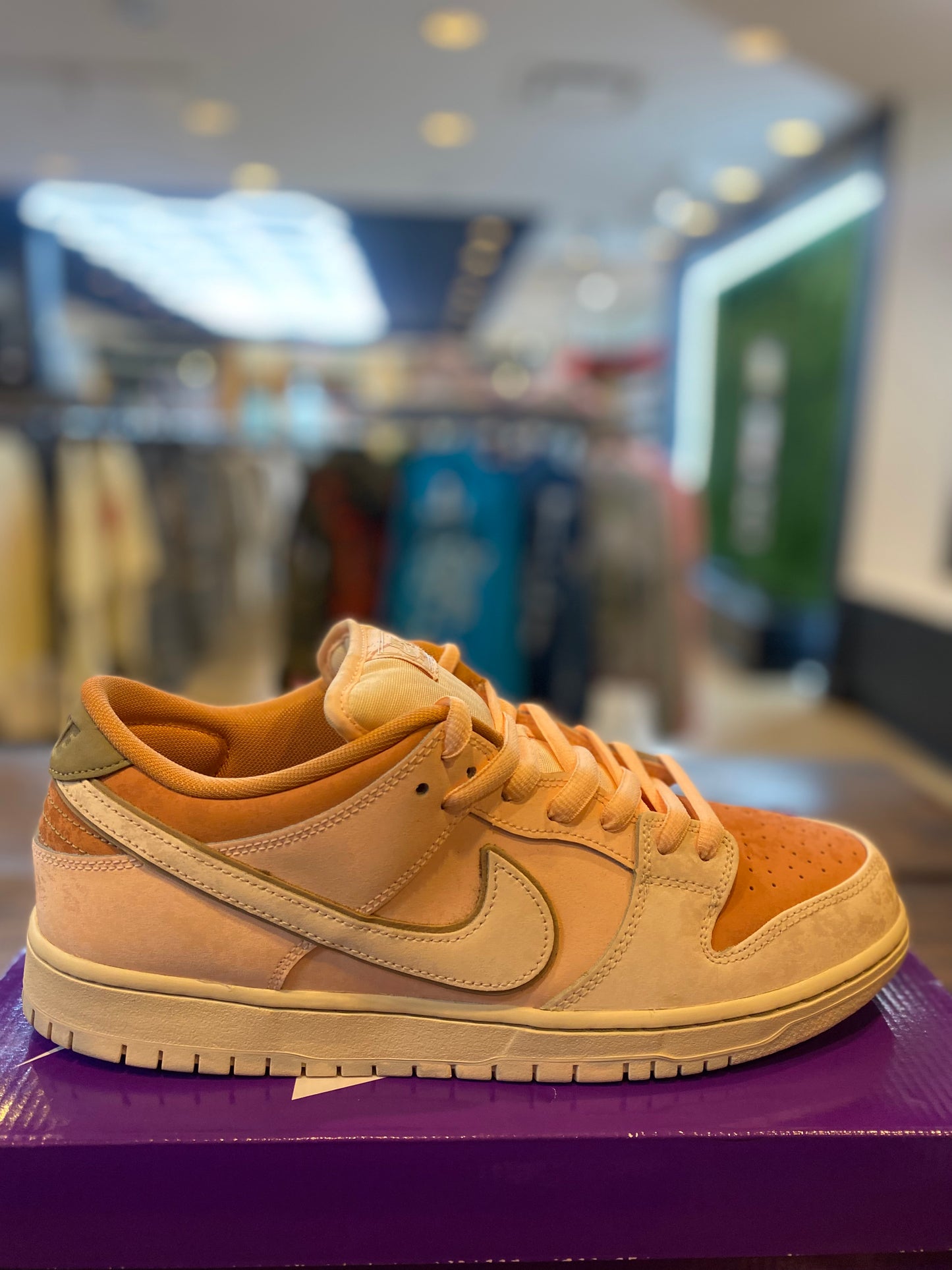 Dunk Low SB Trocadero Gardens PRE OWNED