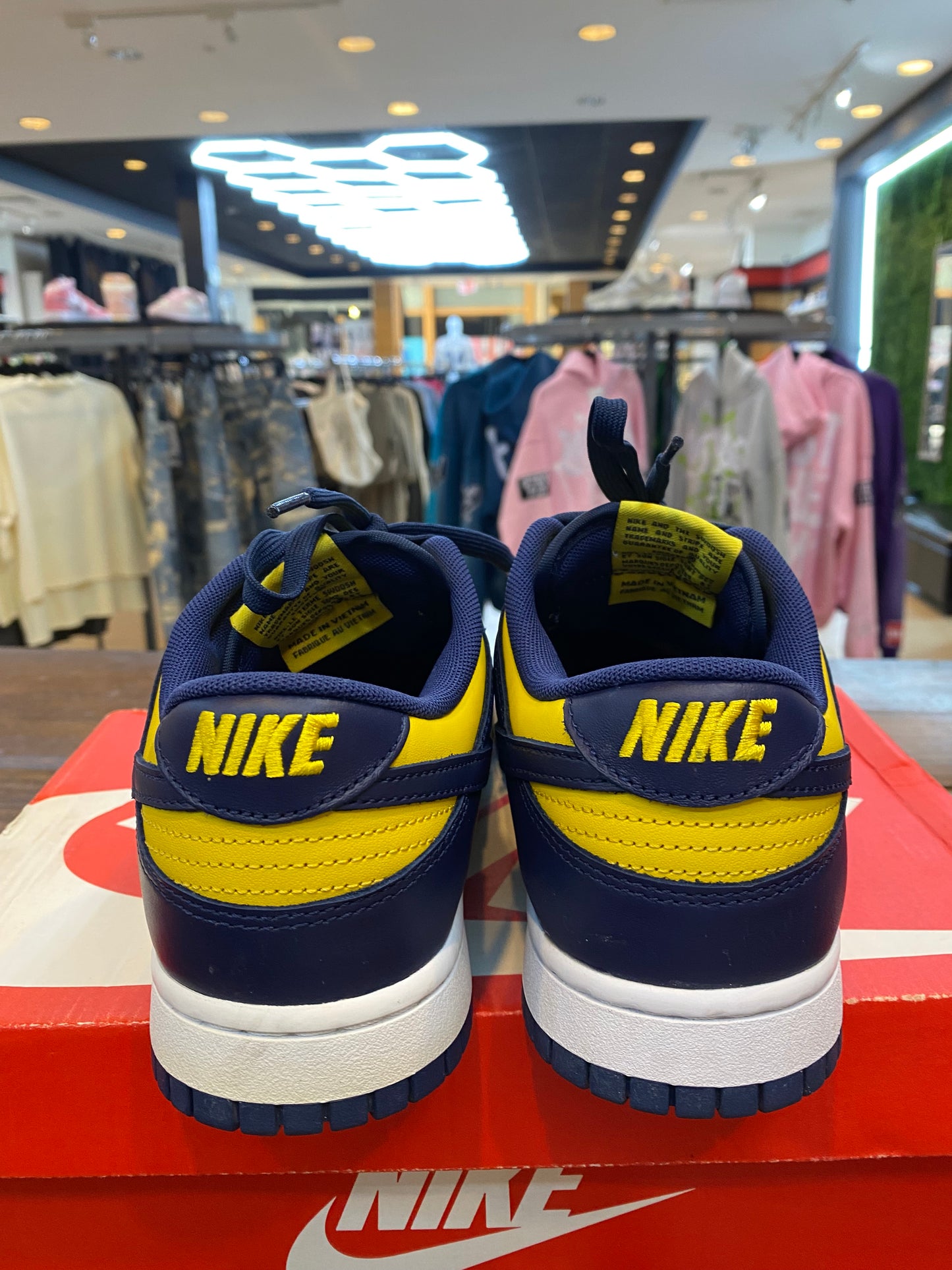 Dunk Low Michigan PRE-OWNED