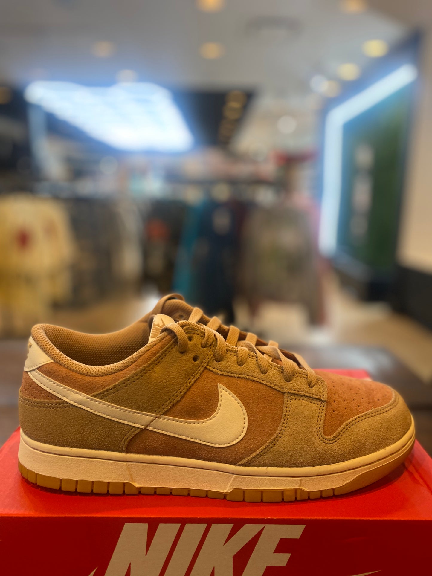 DUNK LOW SE HEMP TERRA BLUSH