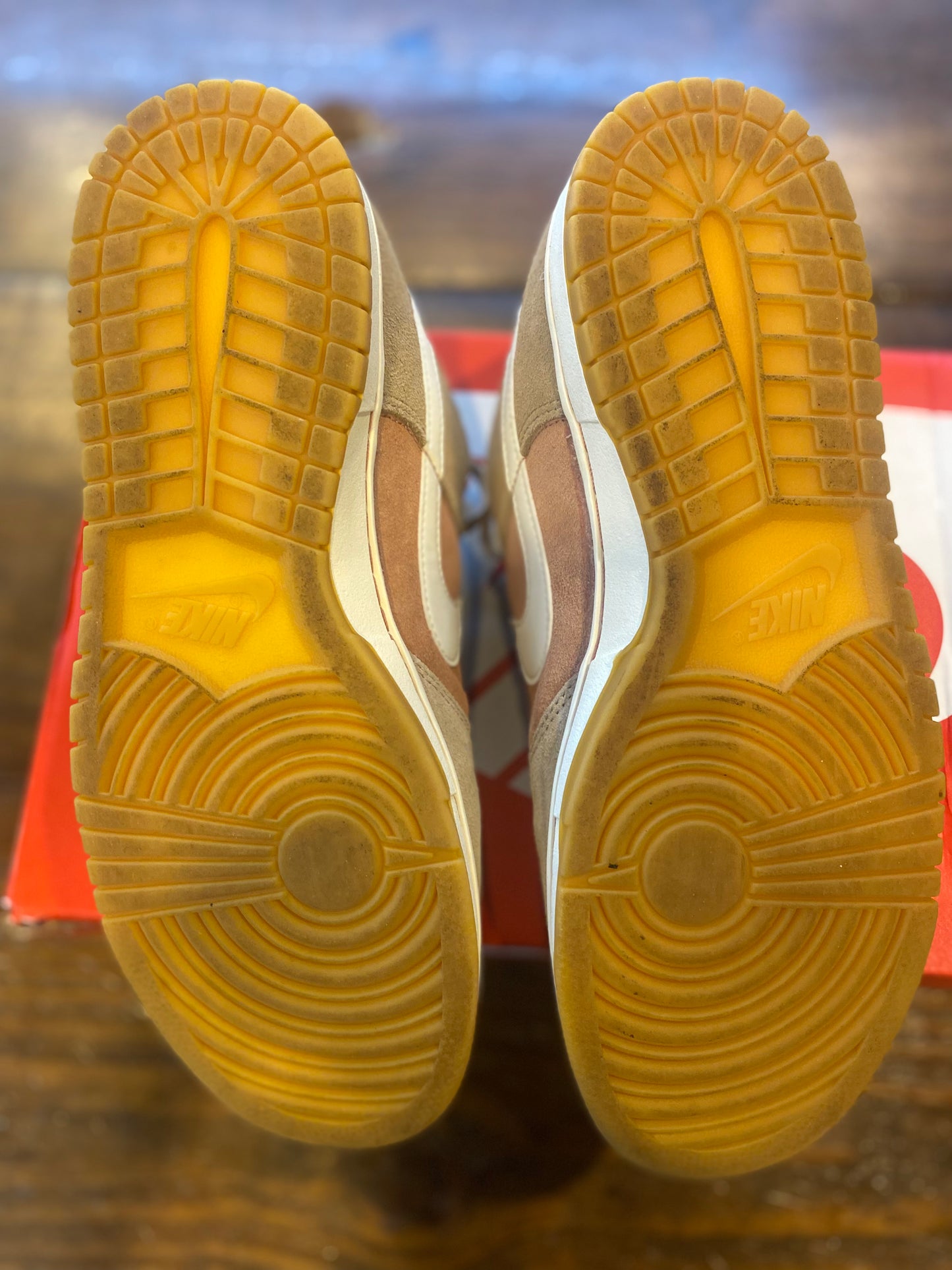 DUNK LOW SE HEMP TERRA BLUSH