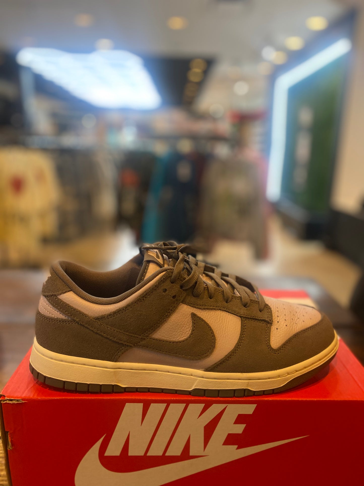 DUNK LOW SE PLATINUM VIOLET CAVE STONE