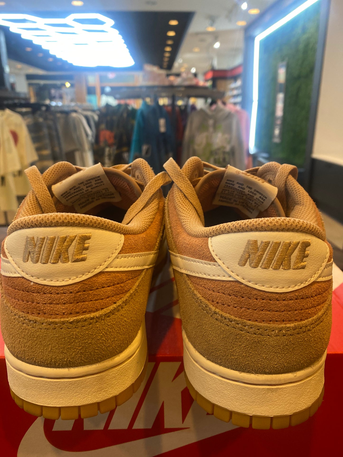 DUNK LOW SE HEMP TERRA BLUSH