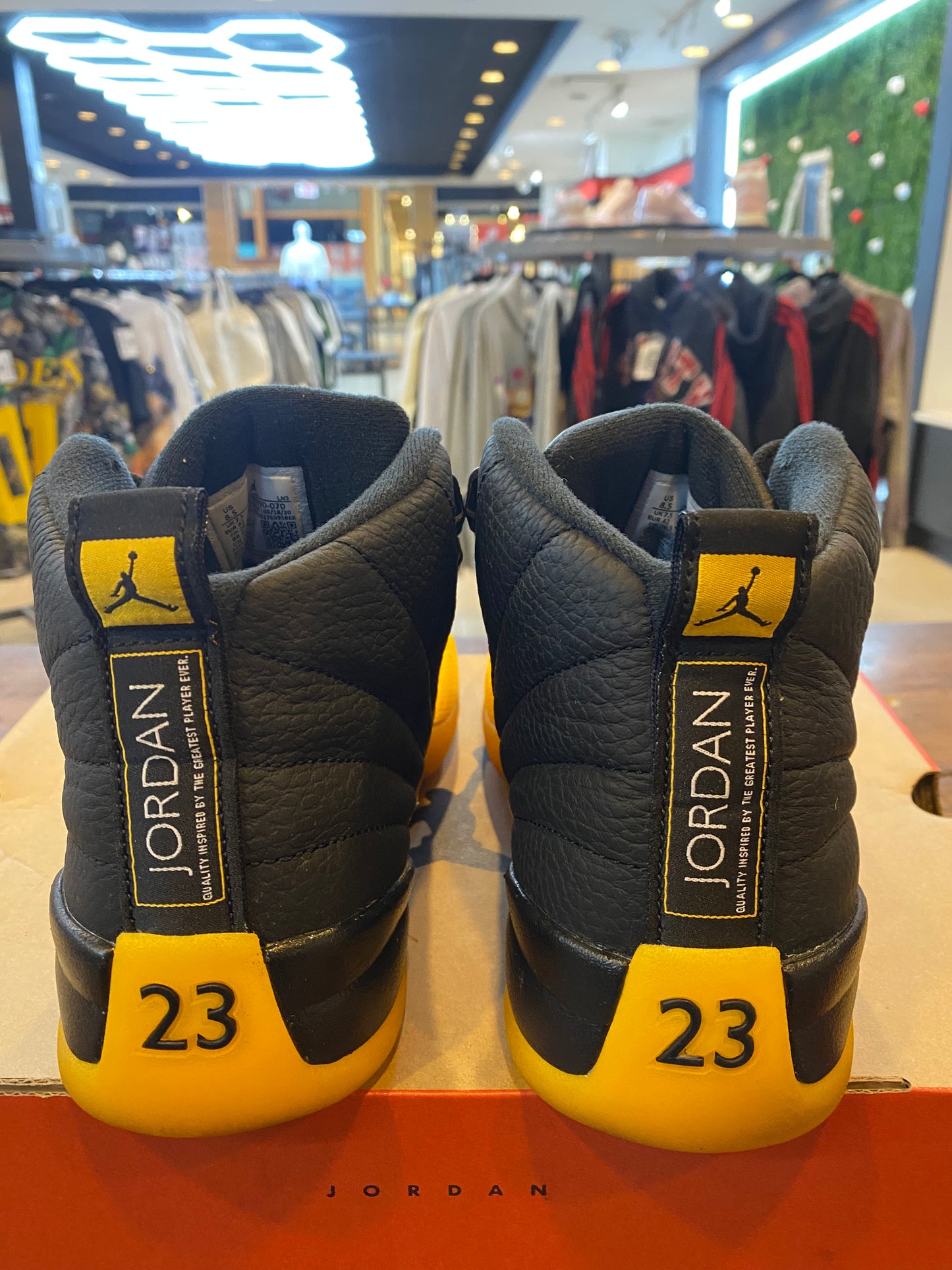 Jordan 12 Unv. Gold PRE - OWNED